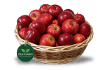 Fruktkorg Solo Eko – Äpple